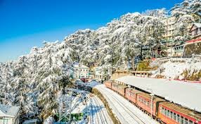 Shimla