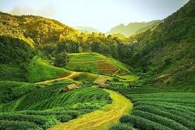 Assam